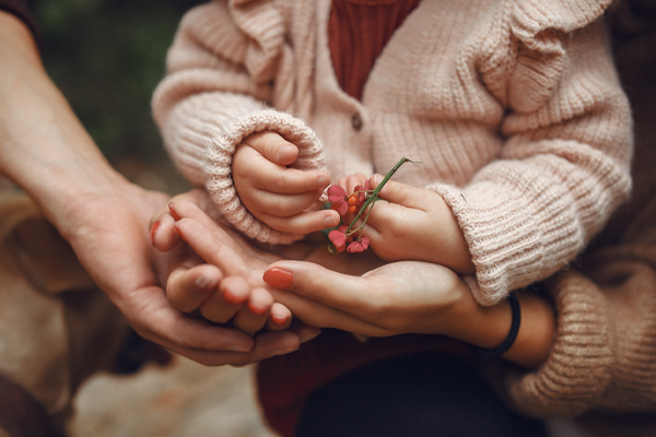 Ma chère famille : comprendre et transformer les liens familiaux