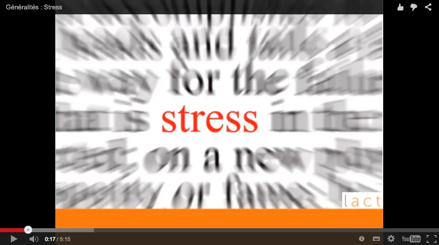 blog stress5